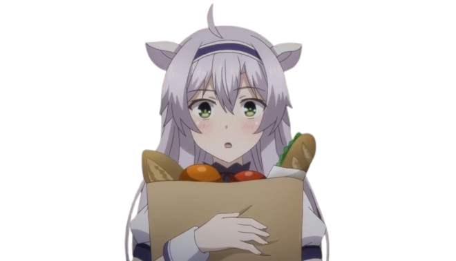 Sistine Fibel Akashic records of magic bastard instructor